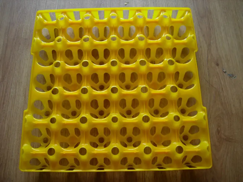 best quality chicken egg tray PP plastic egg tray for 30 chicken eggs