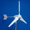 /product-detail/electric-power-saving-solar-wind-hybrid-generator-5kw-5kw-hybrid-solar-wind-power-generation-system-low-cost-wind-turbines-1731858690.html