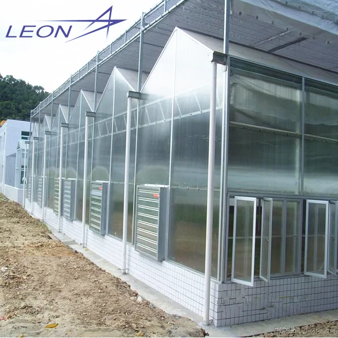 LEON Series 2016 Best Selling Garden