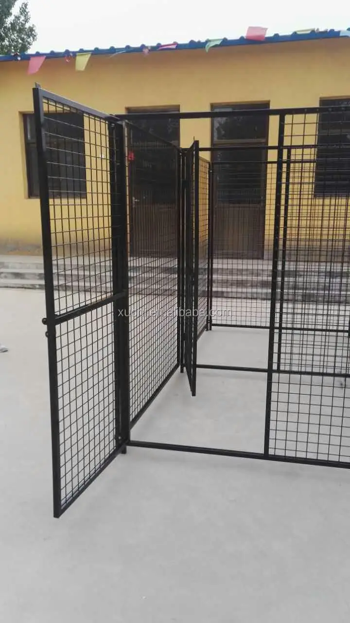 kennel photo (10).jpg