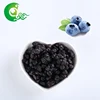Organic healthy fruit freeze dried blueberry