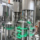 Filling Machine Bottle Fully Automatic Filling Machine Water Line Glass Bottle Capping Machine