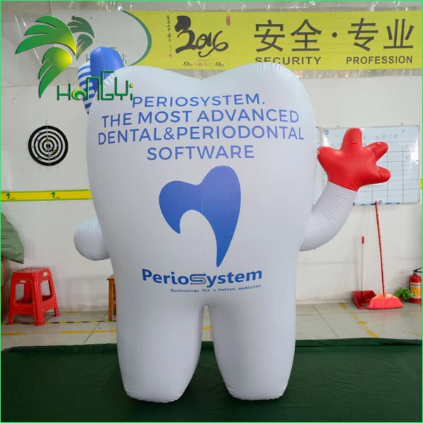 inflatable tooth model (5)
