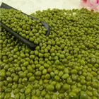 2020 wholesale Green mung beans for sprouting