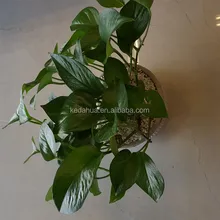 China manufacture perlite for horticultural and hydroponic system