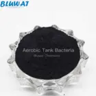 Enzymes Waste Water Treatment Bacteria Aerobic Tank Bacteria for Active Sludge