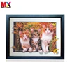 /product-detail/5d-picture-3d-picture-three-d-lenticular-pictures-60782956886.html