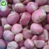 Wholesale Chinese Frozen Red Shallot