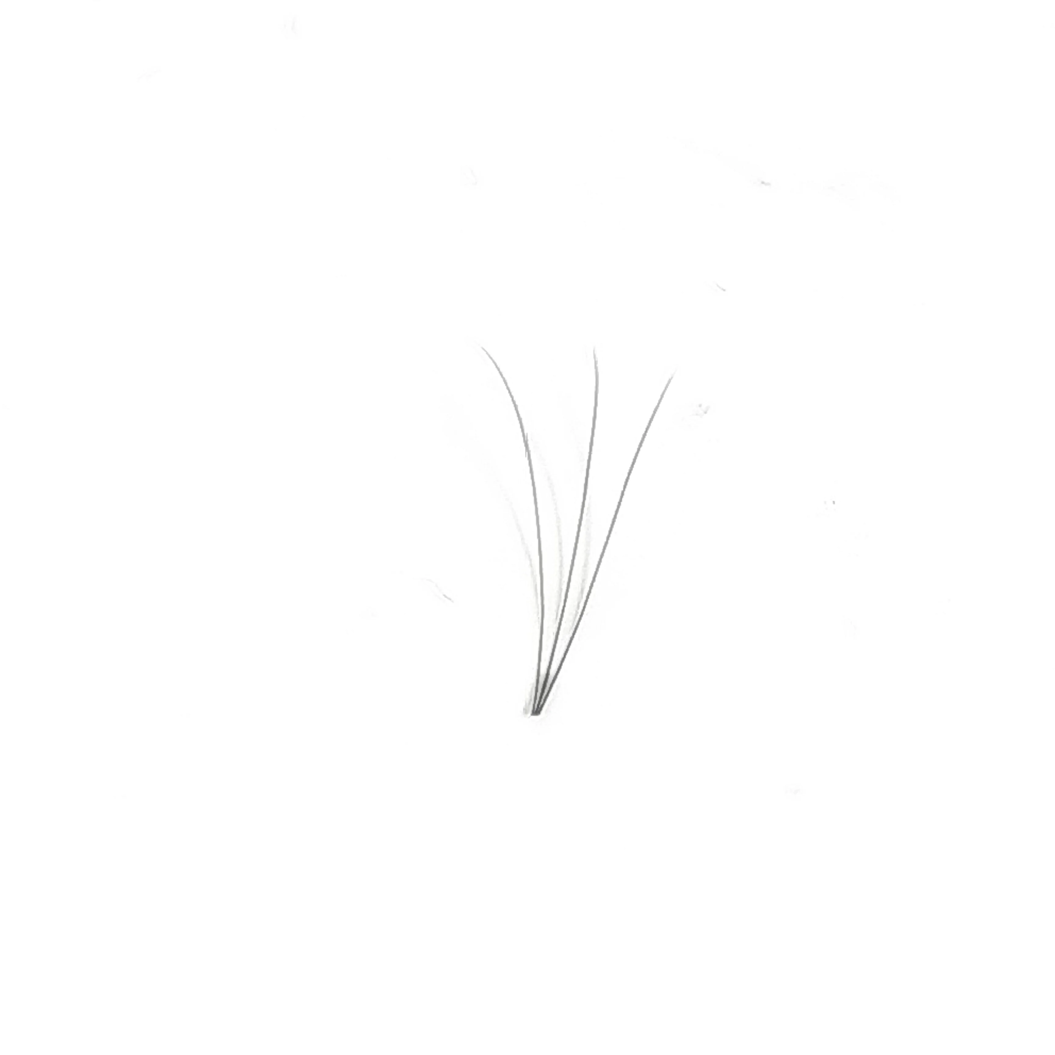 Korea Quality Volume 3D Lashes Extensions 0.10 0.07 Premade Fans C D Curl Eyelash, Natural black
Korea Quality Volume 3D Lashes Extensions 0.10 0.07 Premade Fans C D Curl Eyelash, Natural black