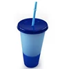 wholesale hot sale temperature sensing color change with straw and lid travel outdoor water plastic cup