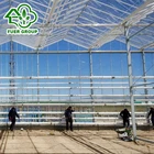 Soilless cultivation vegetables Greenhouse glass Greenhouse