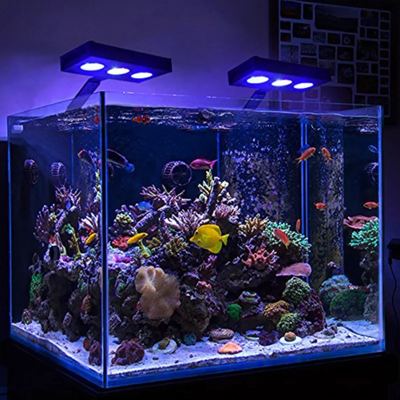 aquarium led light
