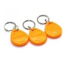 125KHz Waterproof Hotel Smart Card RFID Key Tag