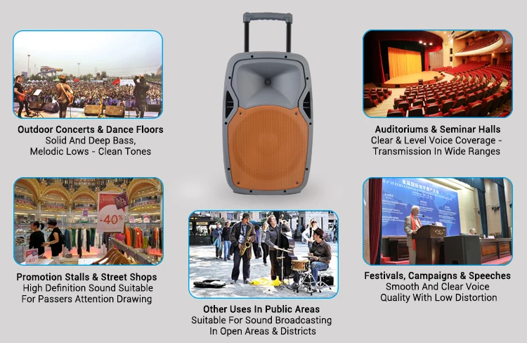 RQSONIC PMW15AMFQ-U2BP-BT 15 Inch Trolley Bluetooth Battery Active Speaker With 2 Wireless Microphone - ANKUX.COM