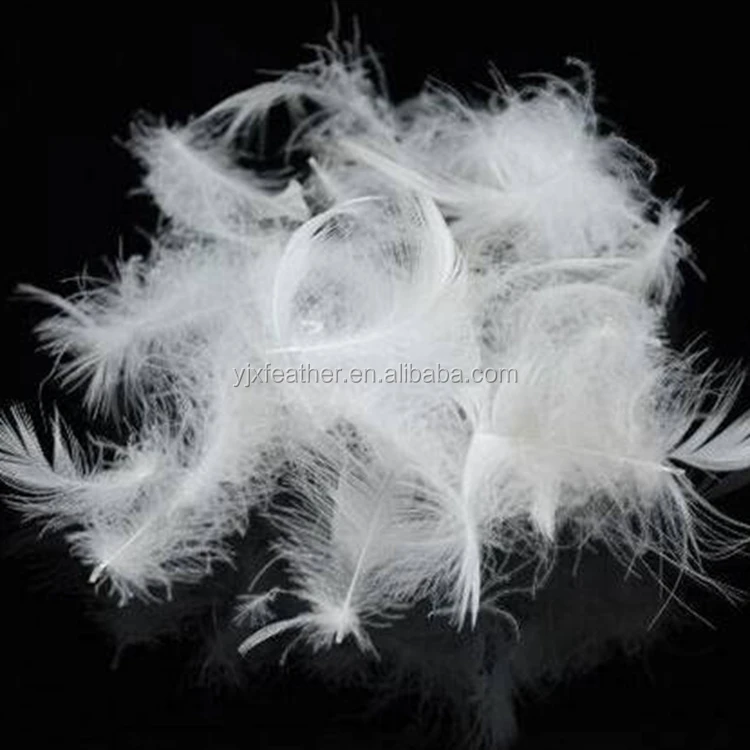 Wholesale white washed White Duck down Feather  Goose feather Duck Feather for Decorations