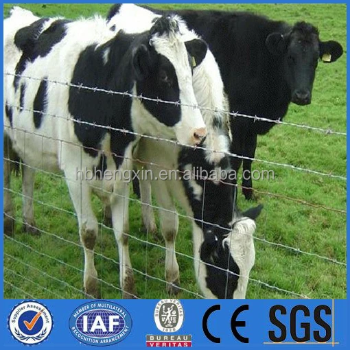 Hot Sale Galvanized Grassland Fence Cattle Field Fence Hog Wire(factory prices)