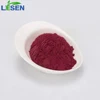 Food and beverage ingredients beetroot extract powder/red beet root extract