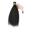 raw unprocessed virgin human kinky straight i-tip hair extensions