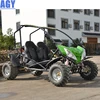 AGY 125cc dune buggy 2 seater