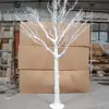 /product-detail/2018-guansee-factory-dry-tree-for-christmas-decorate-maple-artificial-tree-60803162018.html