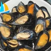 Seafood shellfish frozen cooked mussel with shell at low price