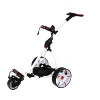 /product-detail/digital-remote-control-cruiser-golf-buggy-1924313083.html