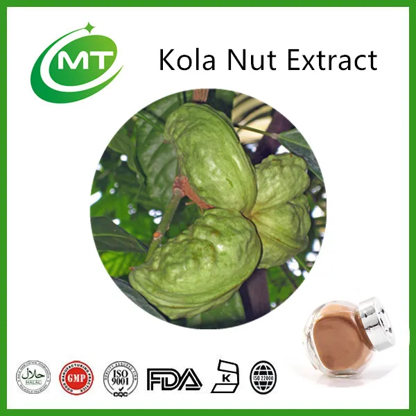 oragnic cola nut kola nut powder kola nut extract