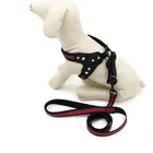 Soft Nyllon Reflective Webbing Pet Dog Leash and Harness Set