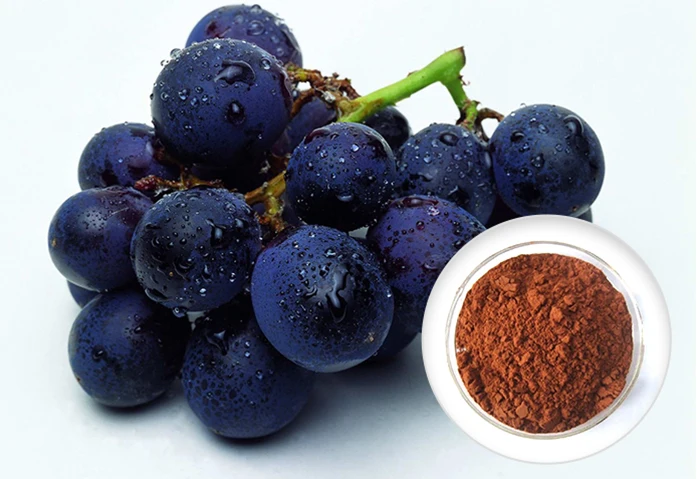 extract grape seed