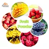 /product-detail/delicious-flavor-organic-spray-freeze-dried-instant-fruit-juice-powder-60750238914.html