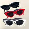 Cat eye Sunglasses Retro Festival 400UV protection Triangle Vintage Glasses CA2745