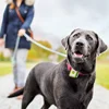 2019 animal Gps Tracker For Small Pets Collar Gps Dog Tracking System