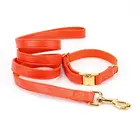 yellow blue pink black multi color leather dog leash and collar