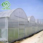 Multi span galvanized anti-uv plastic film greenhouse