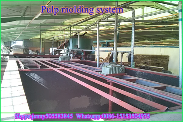 Pulp molding system