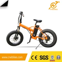 Hot Sale Mini 20inch Fat Tyre