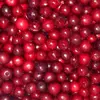 High Quality Frozen Sour Cherry IQF Sour Cherry New Crop with good price