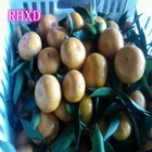 Kino Mandarin Tangerine Orange Citrus fruit from China