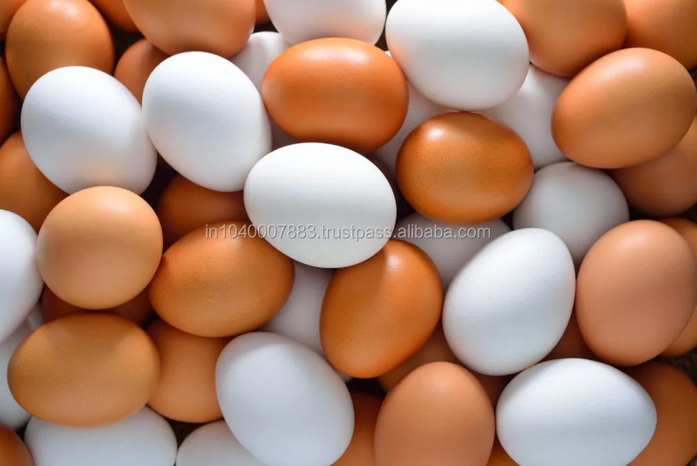 fresh farm EGGS