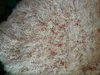/product-detail/beautiful-rose-mongolian-curly-synthetic-fur-fabric-60071221809.html