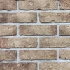 /product-detail/thin-brick-feature-and-solid-porosity-clay-decorative-brick-size-205x55x12mm-60427066117.html