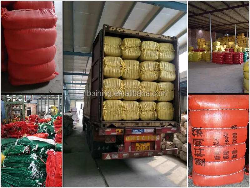 19*41 cm high quality PP/PE Leno garlic mesh bag for potato