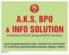 online/offline data entry / website development