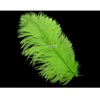 Factory Supply Feather Crafts Product Promotional Free Sample Customized South Africa Ostrich Feathers