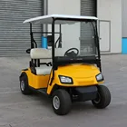 Zhongyi low Price 2 seater battery powered golf cart with CE