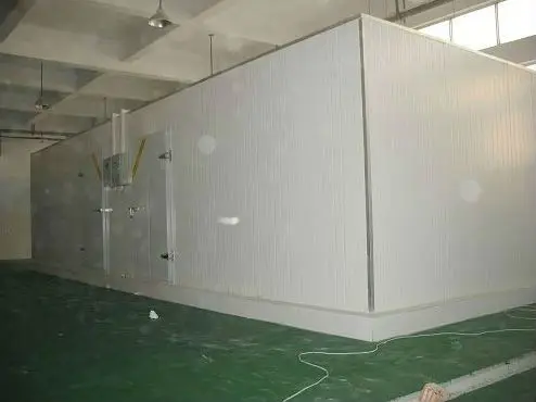Triphase fire-proof and explosion-proof container cold room