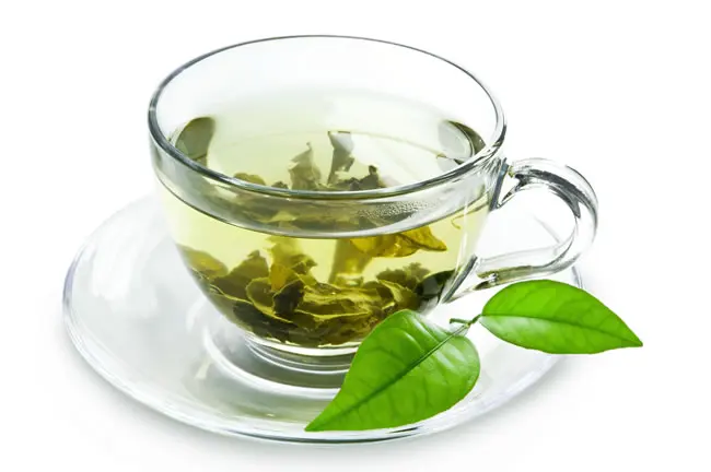 High output tea leaf processing machine/green tea roasting machine