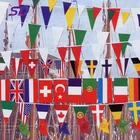 Customized high quality Paper pennant flag /Custom sports pennants
