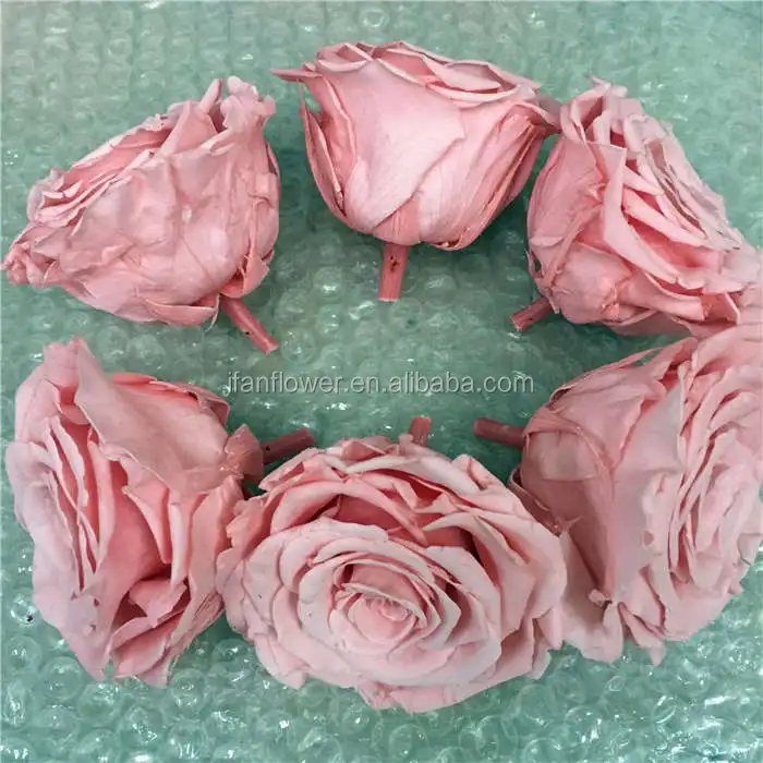 romantic birthday gifts girl fresh cut rose varieties wholesale