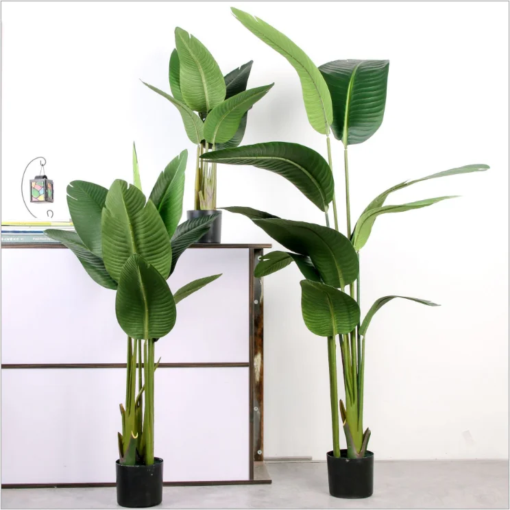 fakes bonsai tree tropical plants banana tree banana leaf for office decoration, Colorful
fakes bonsai tree tropical plants banana tree banana leaf for office decoration, Colorful